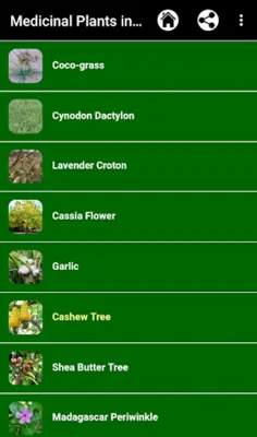 Medicinal Plants in Africa android App screenshot 0