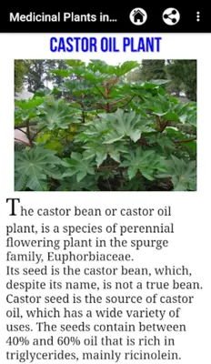 Medicinal Plants in Africa android App screenshot 1