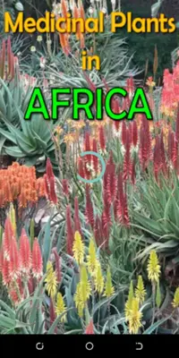 Medicinal Plants in Africa android App screenshot 4